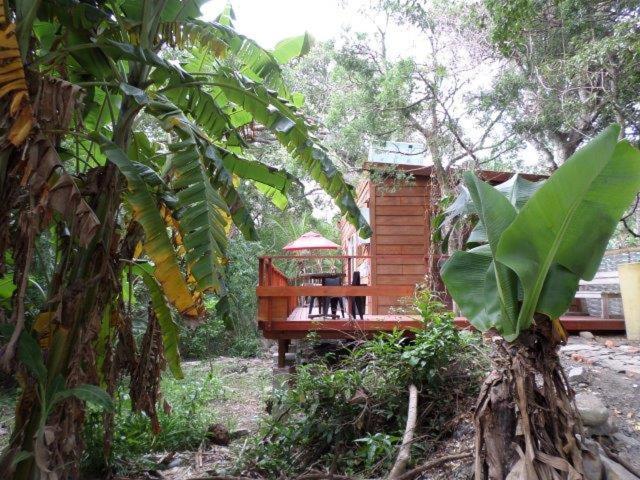 Yellowwood Forest Eco Retreat Morgan's Bay Exterior foto